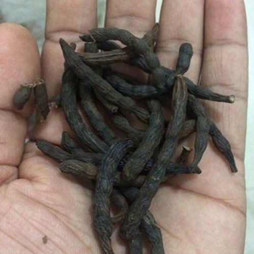 Medicinal Seed, Packaging Size: 1 Kg