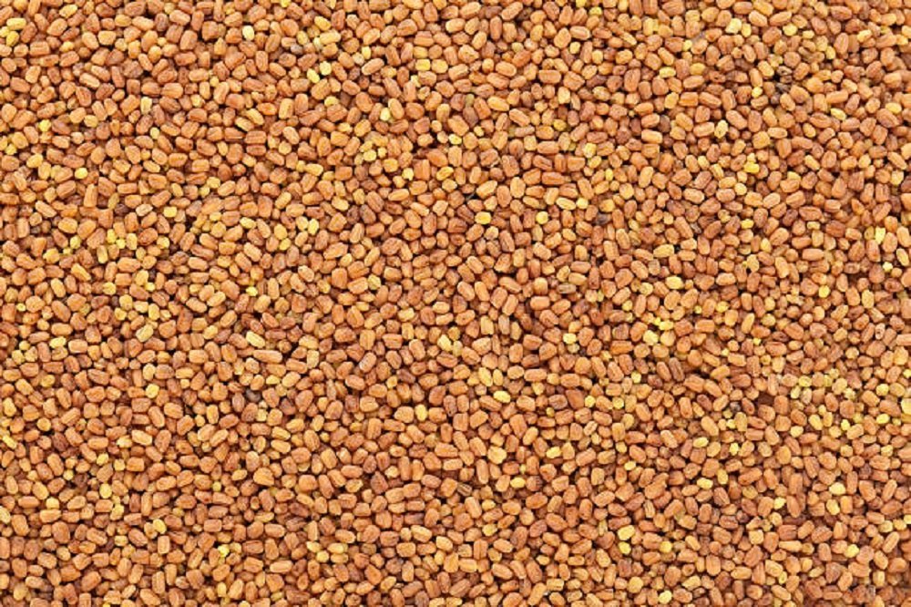 Kalmagh Seed, For Medical Use, Packaging Type: Loose