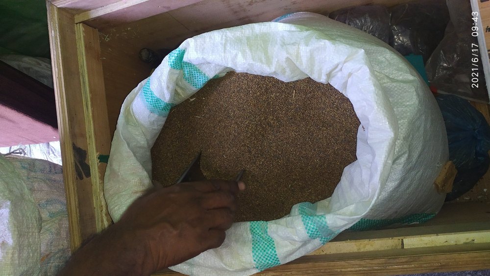 Brown Kalmagh Seed, Packaging Type: Poly Bag, Packaging Size: 40kg