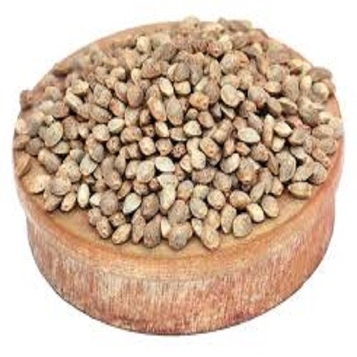 Medicinal Seeds