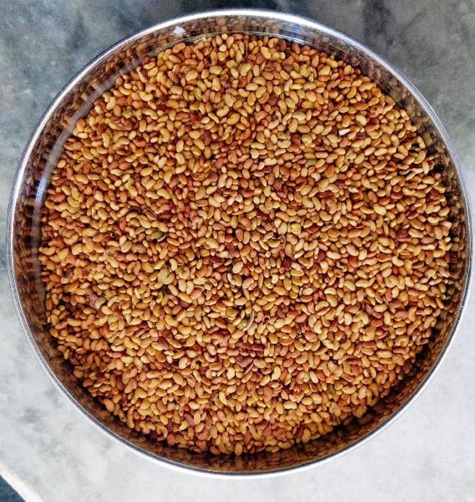 Organic Alfalfa Seeds, Packaging Type: Bag