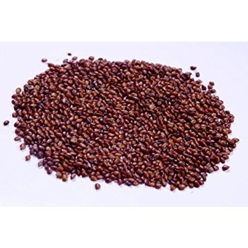 Dried Brown Hedge Lucerne Seeds, Packaging Type: PP Bag