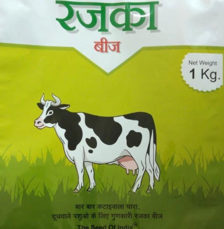 Allfa Alfa Seed, For Animal Fodder, Packaging Type: Bag