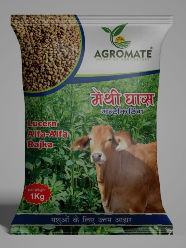 Methi Ghas Alfalfa Seeds, For Animal Feed, Packaging Size: 1kg