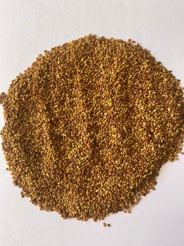 100% Organic Alfalfa Seeds, For Medicinal, Packaging Type: Loose