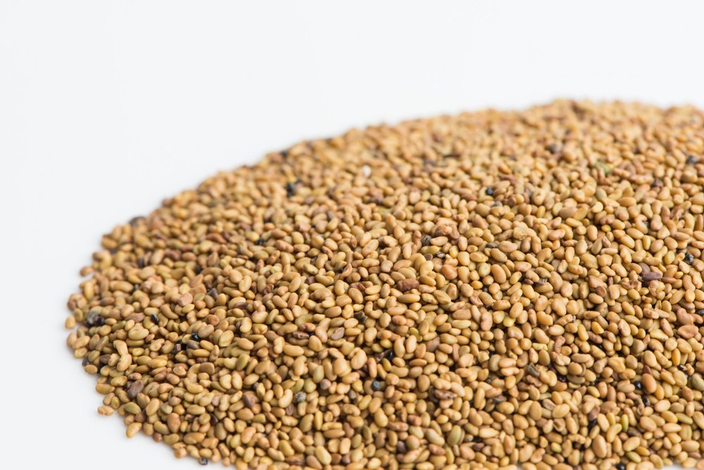 Seeds Dry Alfalafa Seed, For Cooking, Packaging Type: Loose