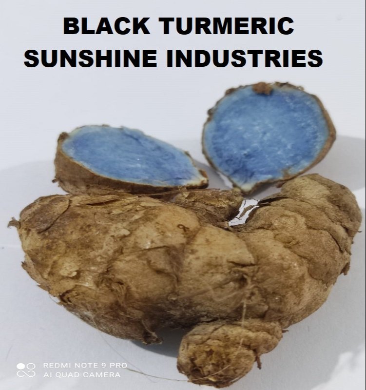 Kali Haldi Black Turmeric Seed, 1 Kg