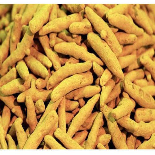 Fresh Turmeric Seeds, Packaging Type: PP Bag, Packaging Size: 40 Kg