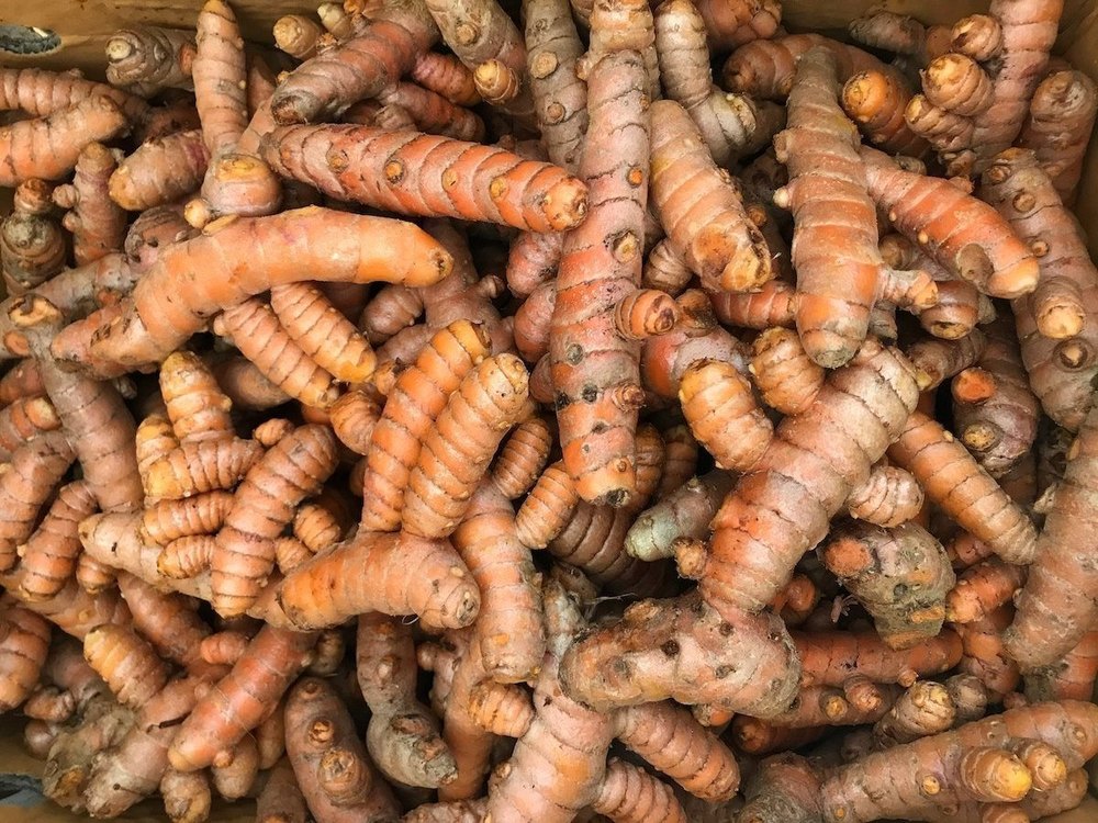Yellow Raw Turmeric Seed, For Food