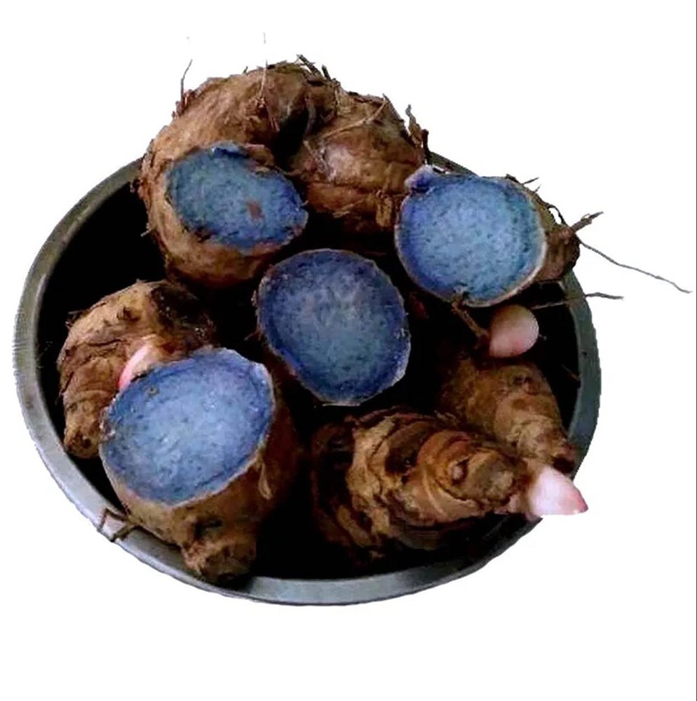 Black Turmeric Seed, Packaging Type: Loose