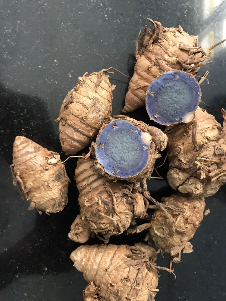 Black Turmeric Seed, Packaging Size: 50 Kg, Packaging Type: Net Mesh Bag Packing