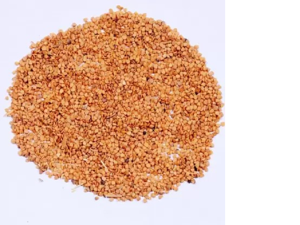 Natural Ashwagandha Seeds, For Ayurveda, Packaging Size: 5 kg