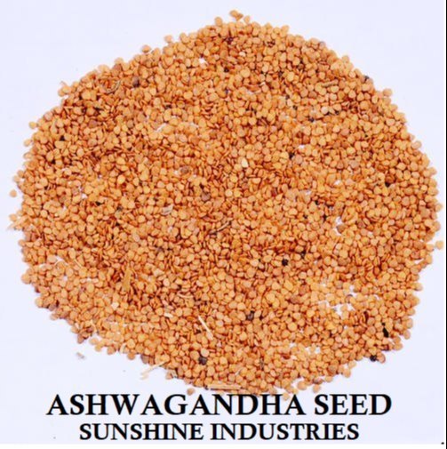 Ashwagandha Seeds, Pack
