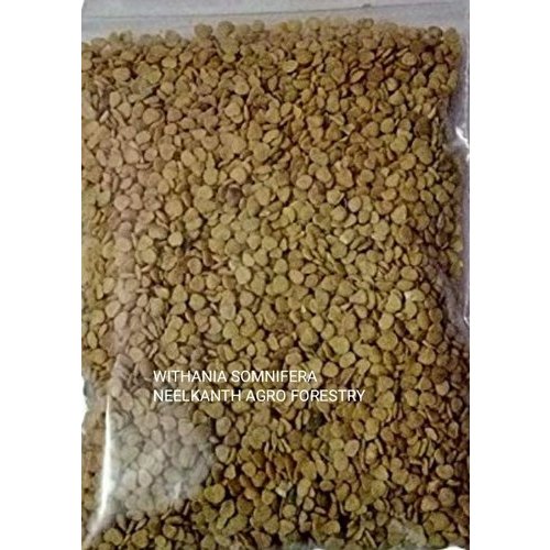 Neelkanth Agro Withania Somnifera Ashwagandha Seed, Packaging Size: 1 Kg, Packaging Type: Packet