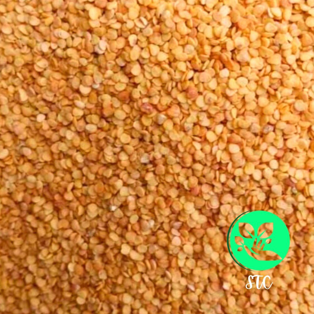 Natural Ashwagandha Seeds For Planting, For Ayurvedic Medicinal Use, Packaging Size: 1 kg