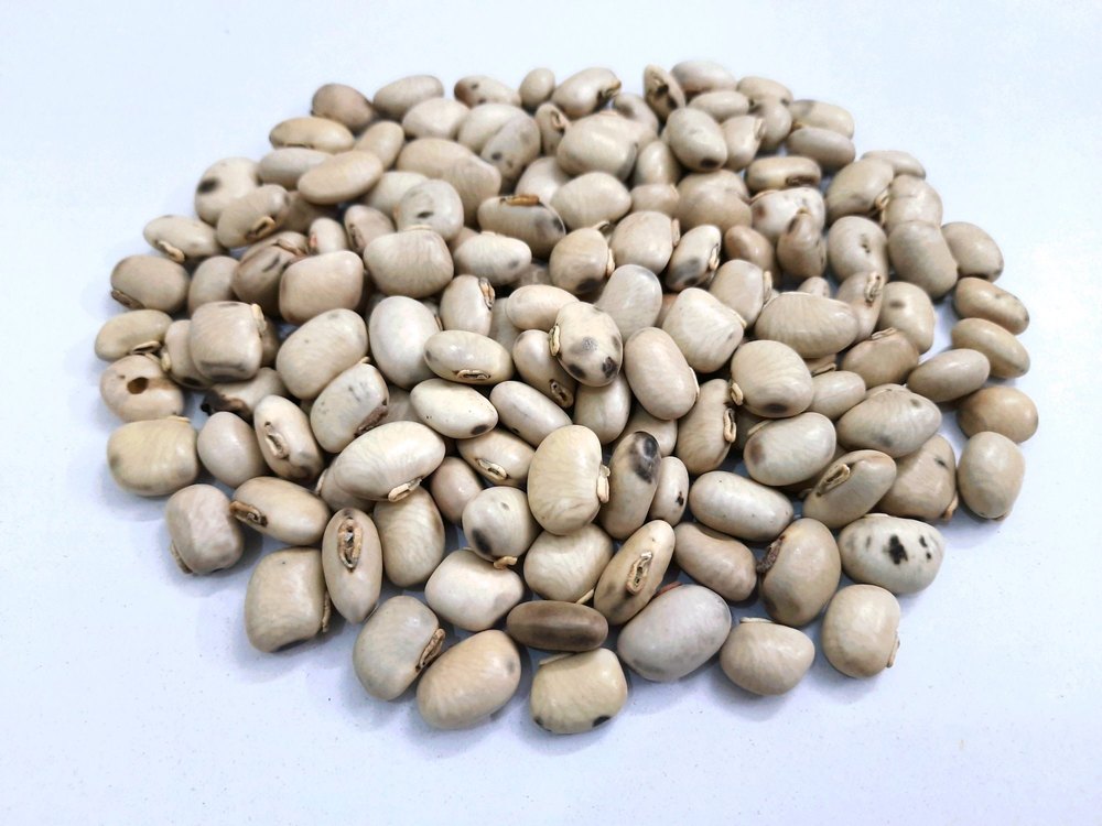 White Kaunch Seeds - Mucuna Pruriens Seed, Packaging Type: Packet