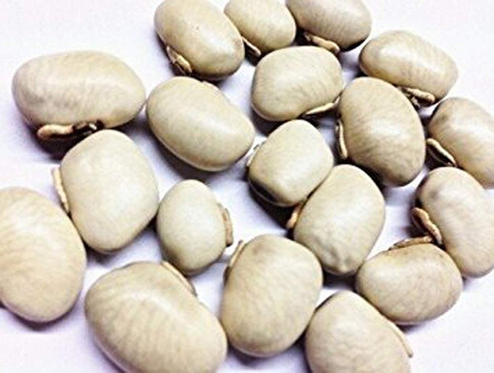 Mucuna Pruriens Kaunch Beej, Packaging Type: Packet
