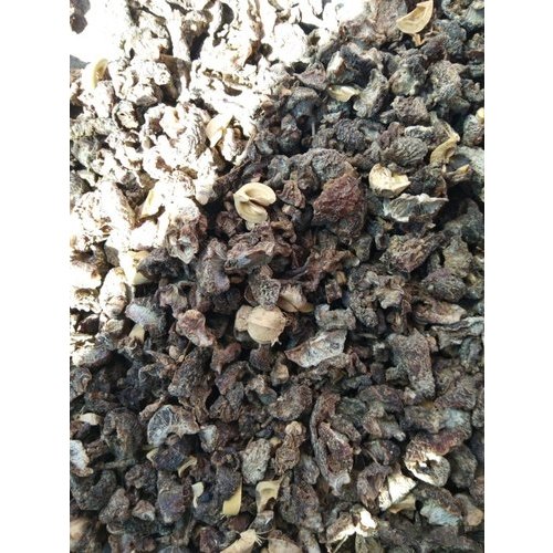 Babchi Seeds