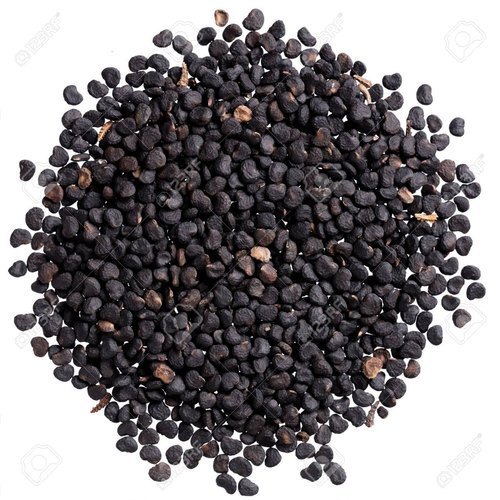 Dhatura Seed, Packaging Type: Packet