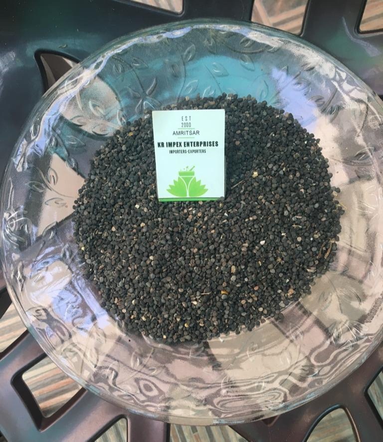 Datura Seed Black - Dhatura Beej Kala - Beej Dhatura Kala - Purple Angels Trumpet Moonflower Seed