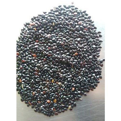 Chaksu Seed, Packaging Type: Packet, Packaging Size: 10-50 Kg