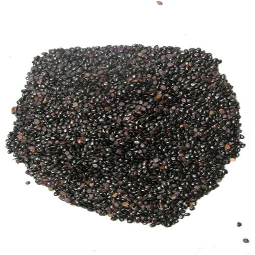 Chaksu Seeds