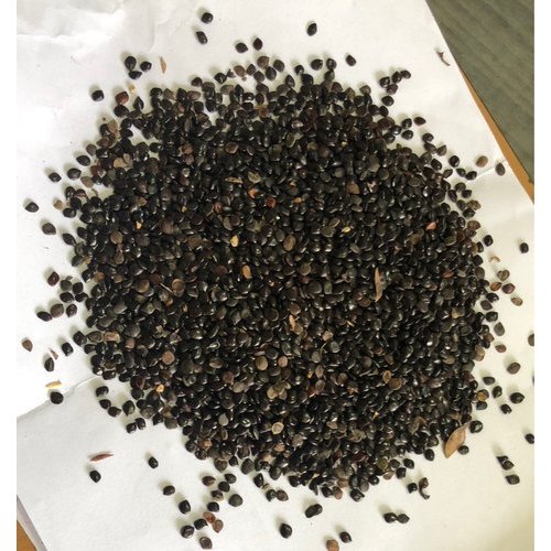 Black Chaksu Seed