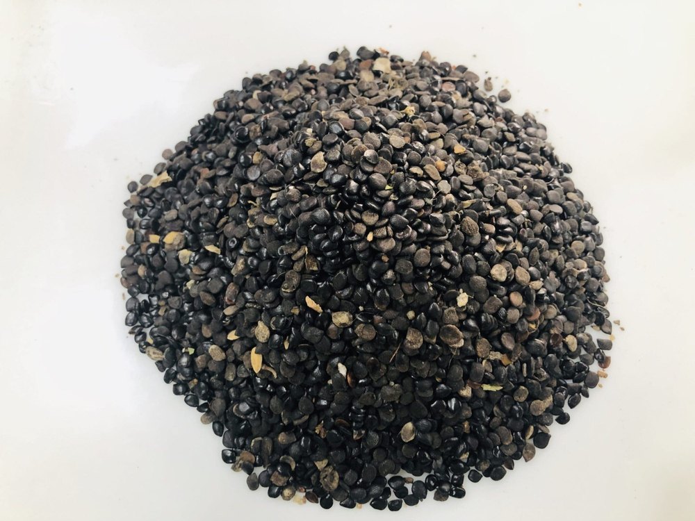 Black Chasku Seeds