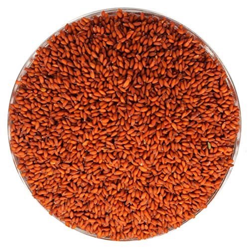 Halam Asaliya Seed, For Cattle Feed, Medicine