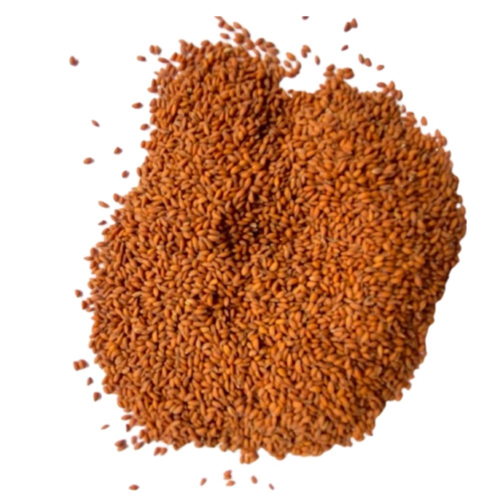 Natural Asalio Seeds Halim