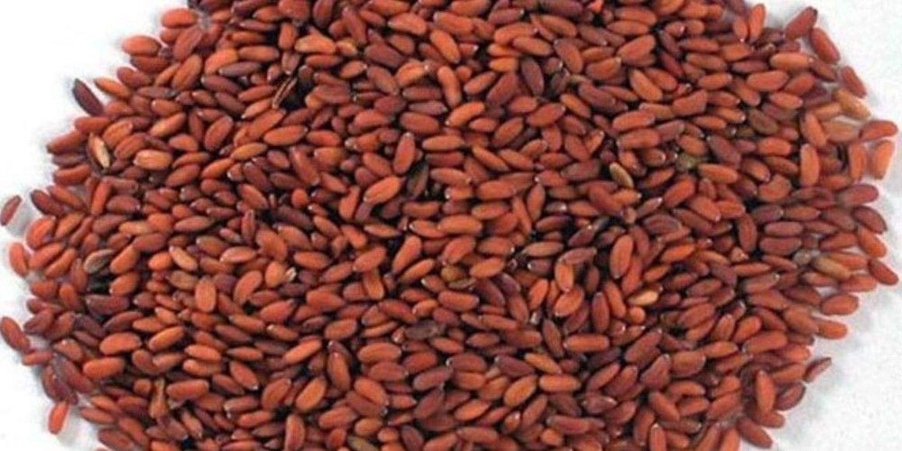 Natural Chandrasur Asaliya, Dried, Packaging Size: 50 Kg