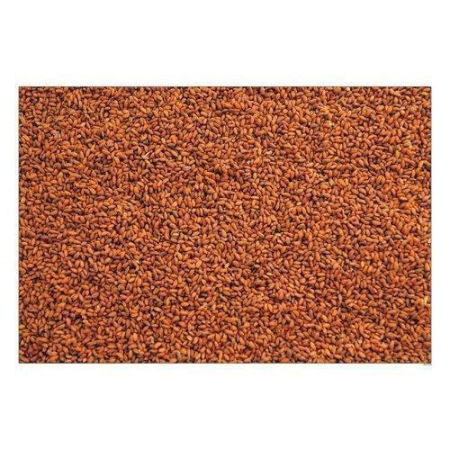 Asaliya Seeds, Pack Size: 50 Kg