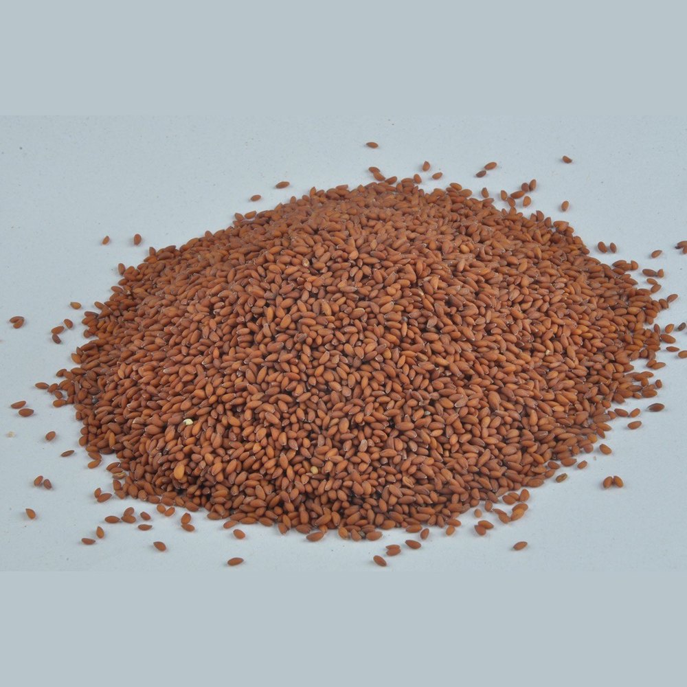 Asaliya Seeds, Packaging Size: 5 Kg