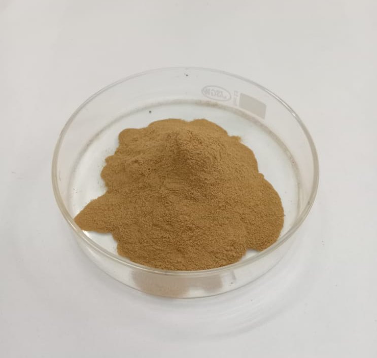 Powder Vidhara Seed Dry Extract (Argyreia nervosa), Packaging Type: Loose