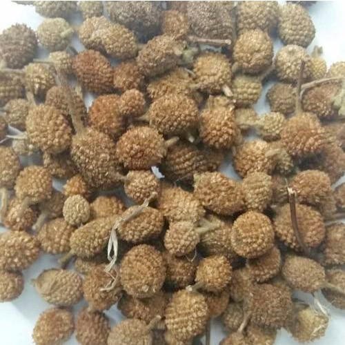 India Akarkra Seeds, For Agriculture, Packaging Size: 25kg
