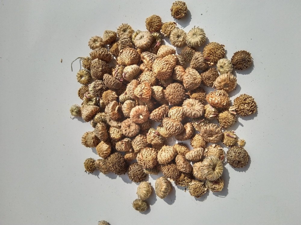 Akarkara Seeds Acmella Oleracea, Packaging Type: Bag