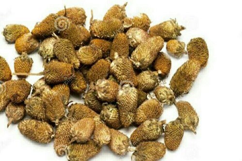 Akarkara Seeds Acmella Oleracea, For Farming, Packaging Size: 10 kg
