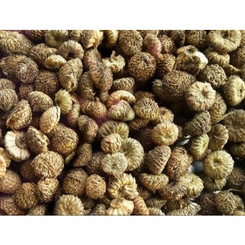 Akarkara Seeds