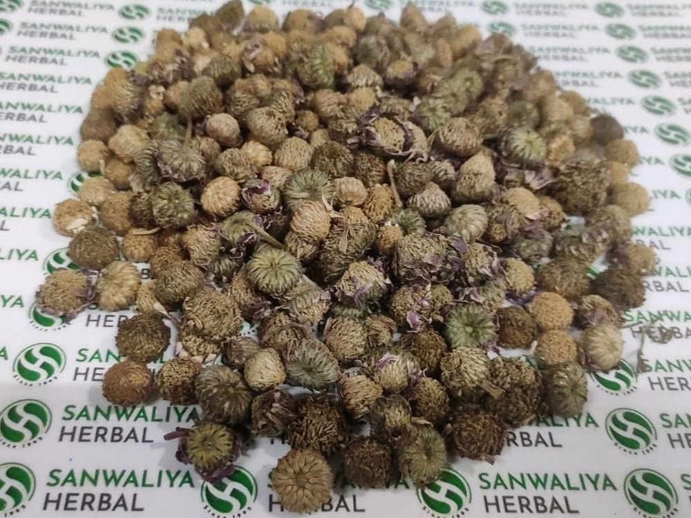 Raw Sanwaliya herbal Akarkara Seeds