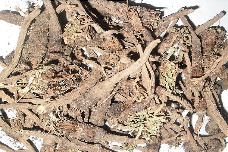 Organic Irani akarkra seed, For Health Product, Packaging Size: 50 Kg