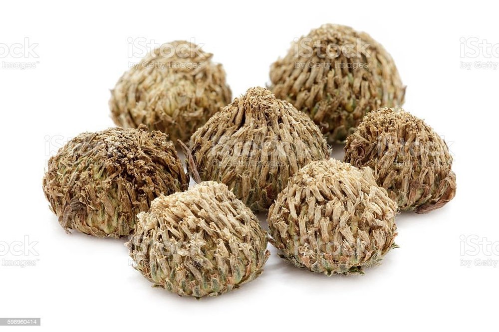 Indian Akarkara Seed, Packaging Type: Bag