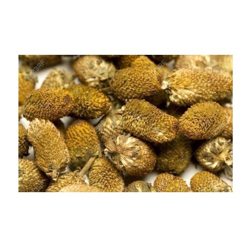 Akarkara Seeds, Packaging Size: 20-25 Kg