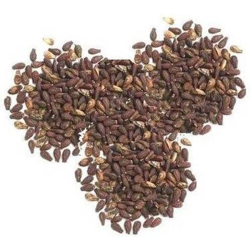 Shivlingi Seeds, For Multipurpose, Packaging Type: Packet