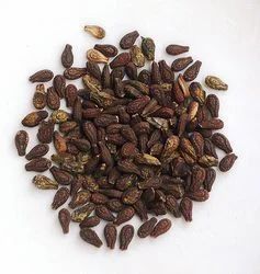 Shivlingi Seed, Packaging Type: Packet, Packaging Size: 25, 50kg