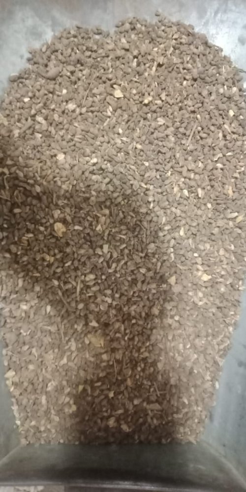 Dry Shivlingi Beej, For Pharma