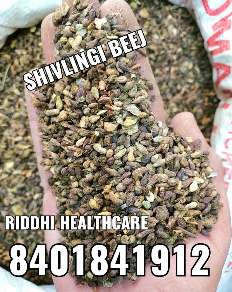 Shivlingi beej, Packaging Type: Bag