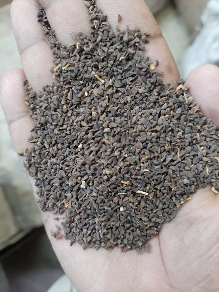 Seeds Form Harmal Seed Peganum Harmala Rue Seed, Packaging Size: 50 Kilos Bag