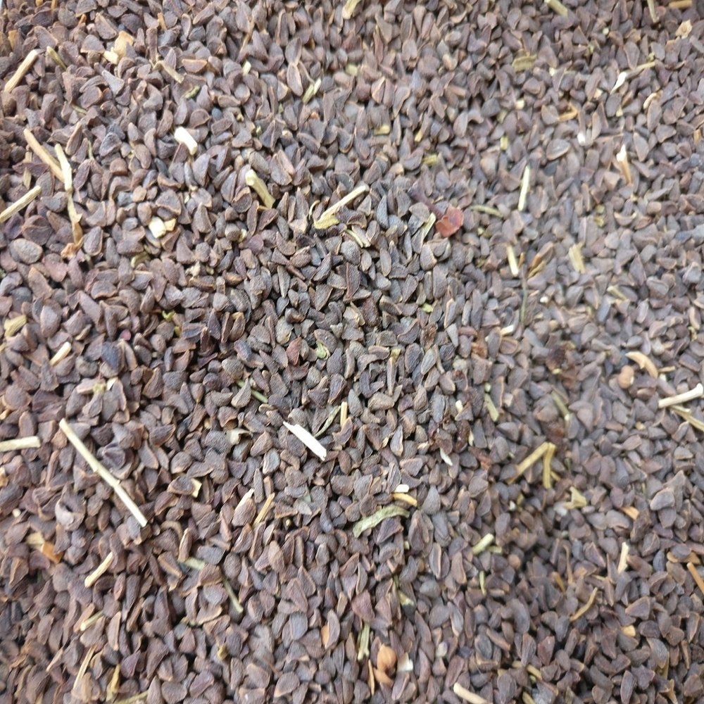 Peganum Harmala Brown Harmal Seeds, Packaging Type: Loose