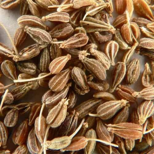Aniseed