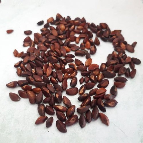 Dry Amla Seeds